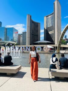 How Nigerians Abroad Can Grow Wealth at Home